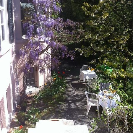 Garden Studio Apartment Zuerichberg Chambre photo