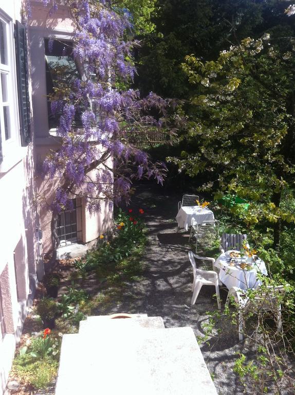 Garden Studio Apartment Zuerichberg Chambre photo